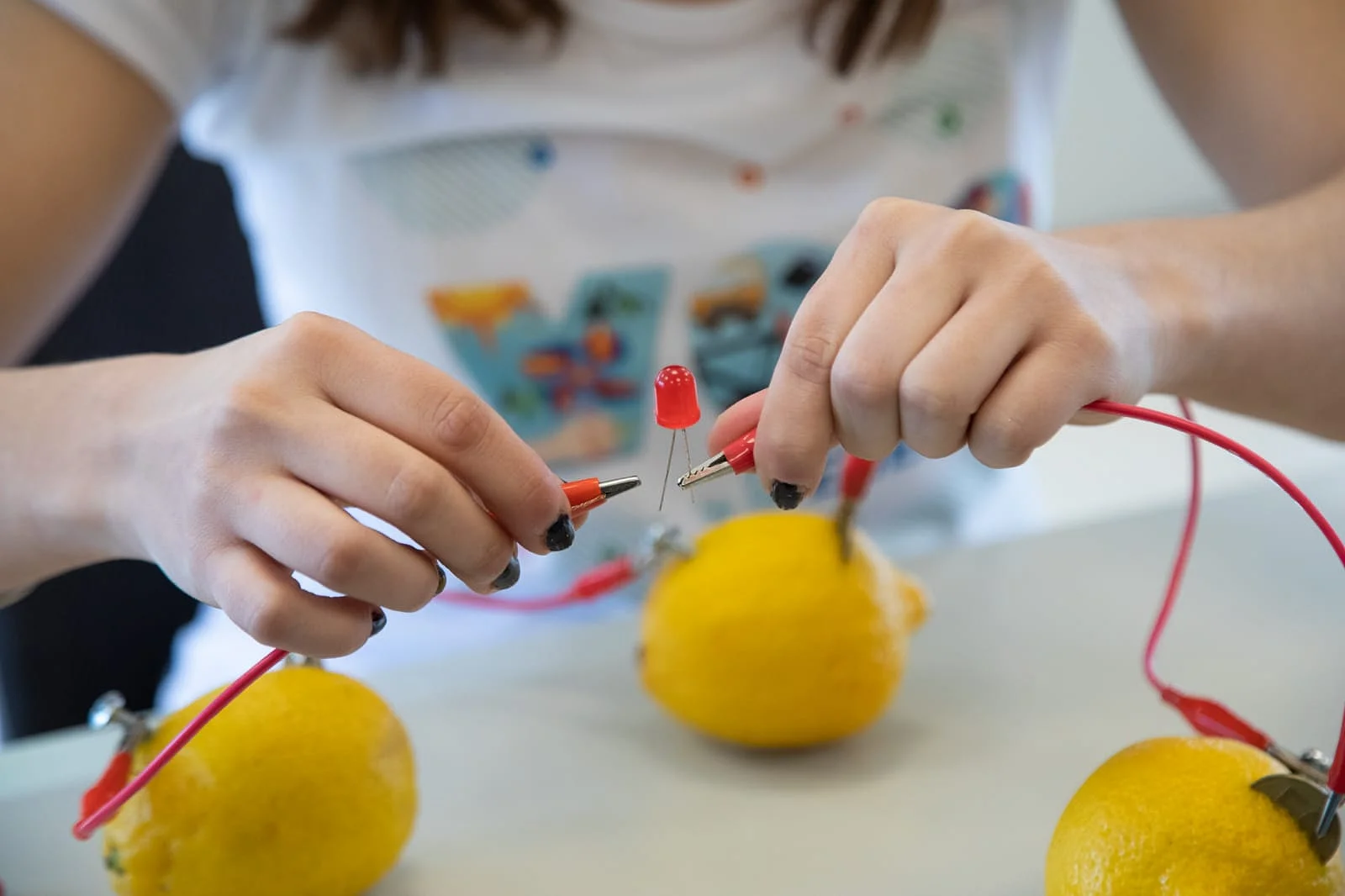 experimento de Vos y la Energía Primaria